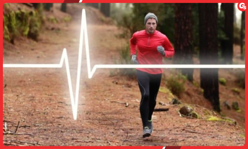 Nhịp tim khi chạy bộ bao nhiêu là tốt?