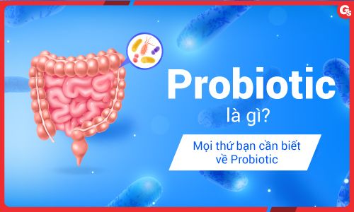 Probiotic là gì? Lợi ích và cách bổ sung Probiotic đúng nhất