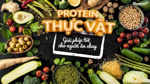 Protein thực vật - Thông tin hữu ích cho người ăn chay thích tập Gym