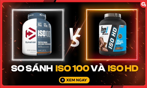 So sánh ISO 100 và ISO HD: Whey nào tăng cơ tốt hơn?