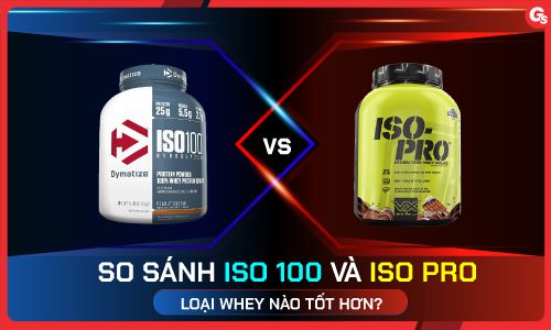 So sánh ISO 100 và ISO Pro: Nên chọn loại nào?