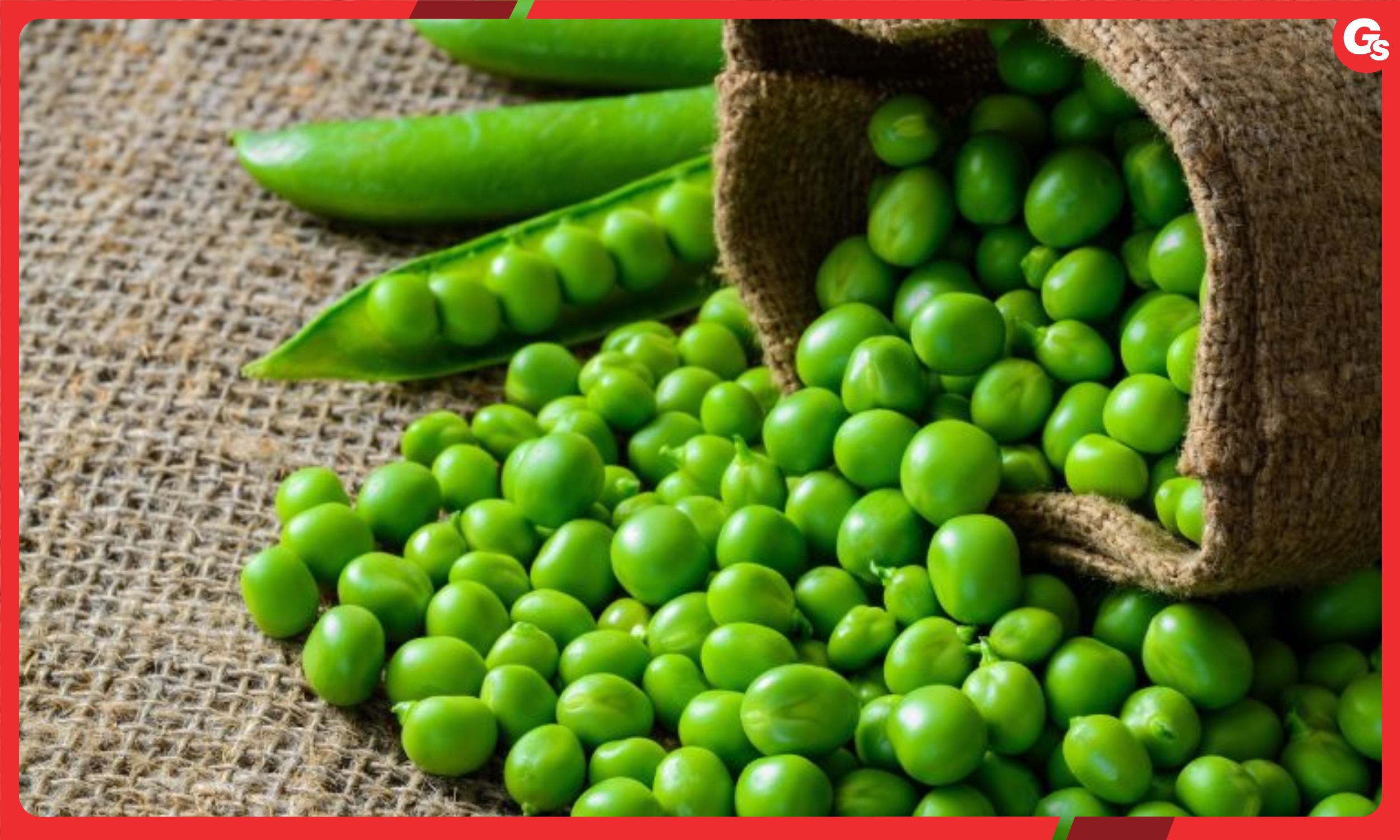 100g đậu Hà Lan bao nhiêu calo? Ăn đậu Hà Lan có tác dụng gì?