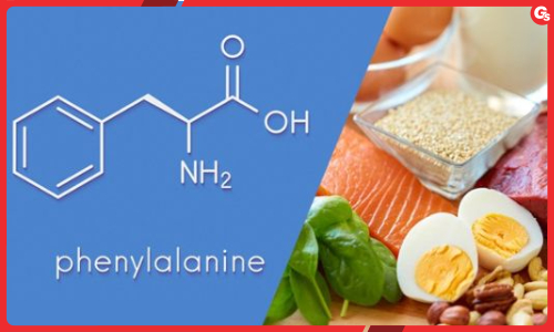 Phenylalanine là gì? Lợi ích, tác dụng phụ và nguồn thực phẩm