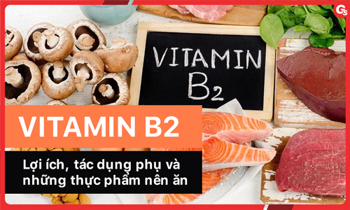 Vitamin B2 có tác dụng gì? Những thực phẩm giàu vitamin B2 nhất