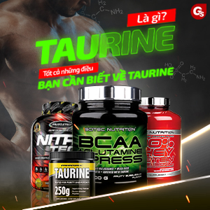 Taurine là gì? Tất cả những điều bạn cần biết về Taurine