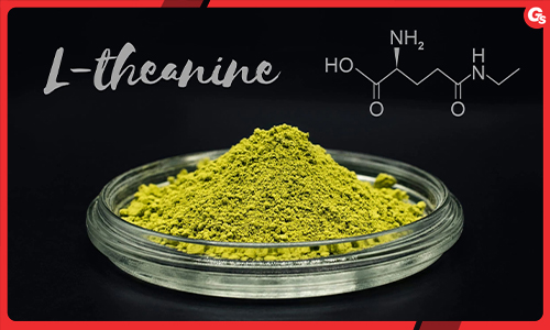 L-Theanine là gì? Công dụng liên quan trực tiếp tới sức khỏe