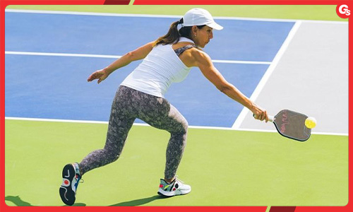Cú Dink trong Pickleball: Tất cả thông tin bạn cần biết