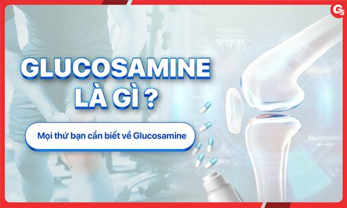 Glucosamine là gì? Những điều bạn cần biết về Glucosamine