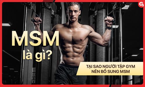 MSM là gì? Lợi ích, tác dụng phụ và cách bổ sung MSM