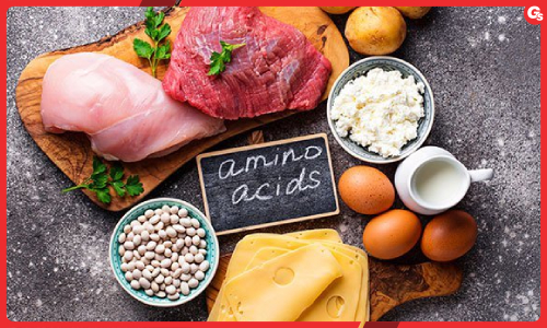 Amino Acid: Vai trò, phân loại và tác dụng giúp hỗ trợ sức khỏe và tập luyện