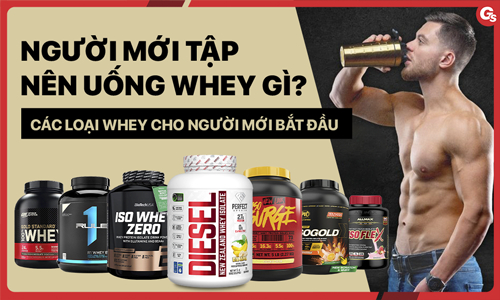 Người mới tập nên uống Whey gì? Các loại Whey cho người mới bắt đầu