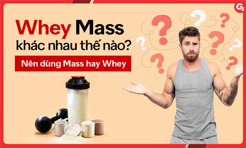 Whey Mass không giống nhau làm sao? Nên người sử dụng Mass hoặc Whey