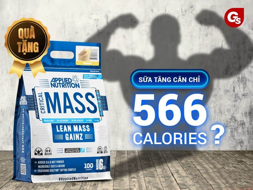 sua-tang-can-critical-mass-gymstore