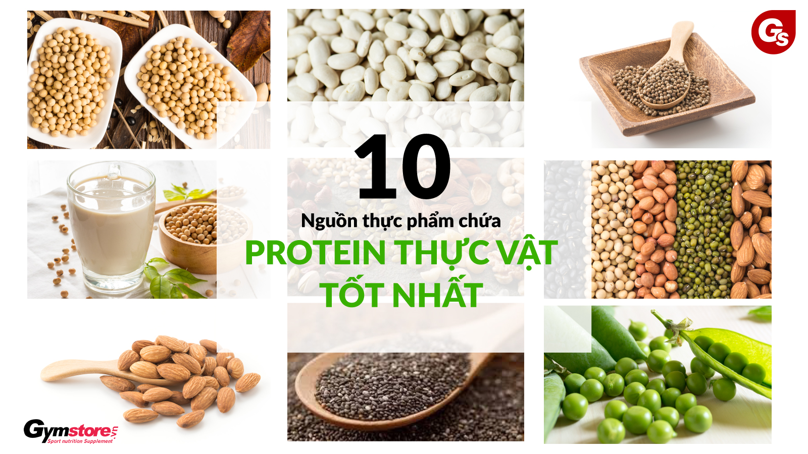 10-nguon-thuc-pham-chua-protein-thuc-vat-tot-nhat-gymstore