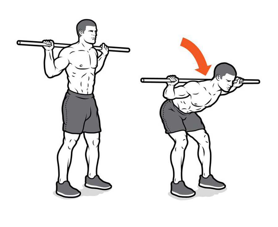 Tổng hợp 4 cách tập cơ lưng đúng cách hiệu quả