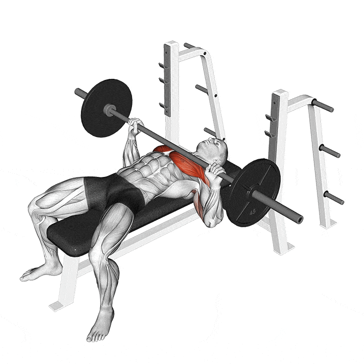 Bench Press là gì? Hướng dẫn cách tập, lưu ý quan trọng khi đẩy ngực