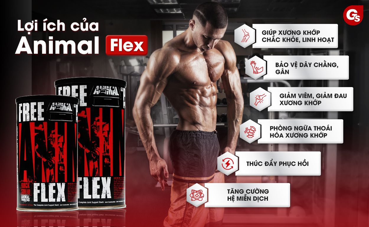 cong-dung-cua-animal-flex-gymstore