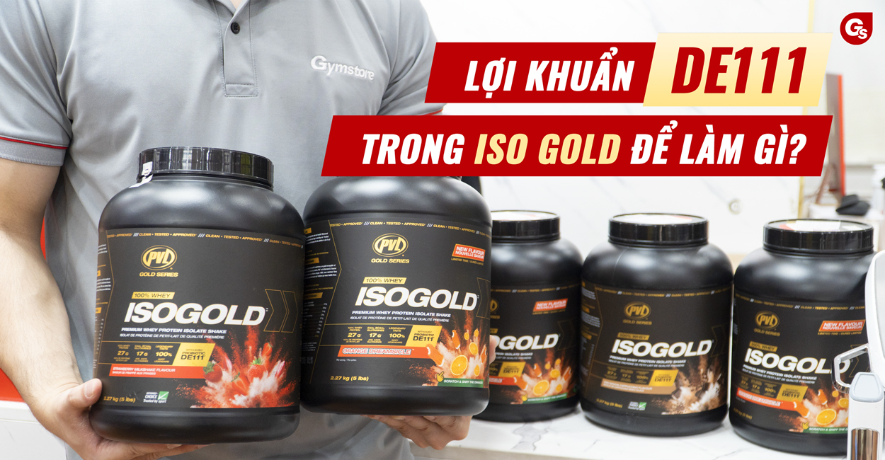 de111-trong-iso-gold-la-gi-gymstore-