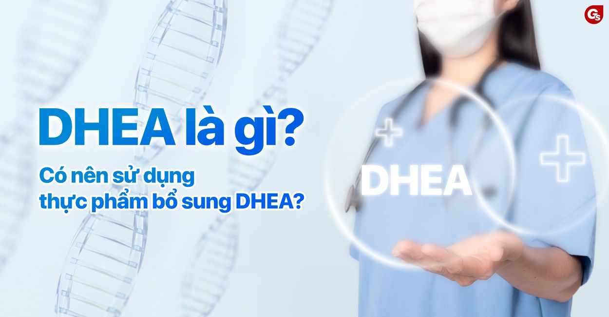 dhea-la-gi-gymstore