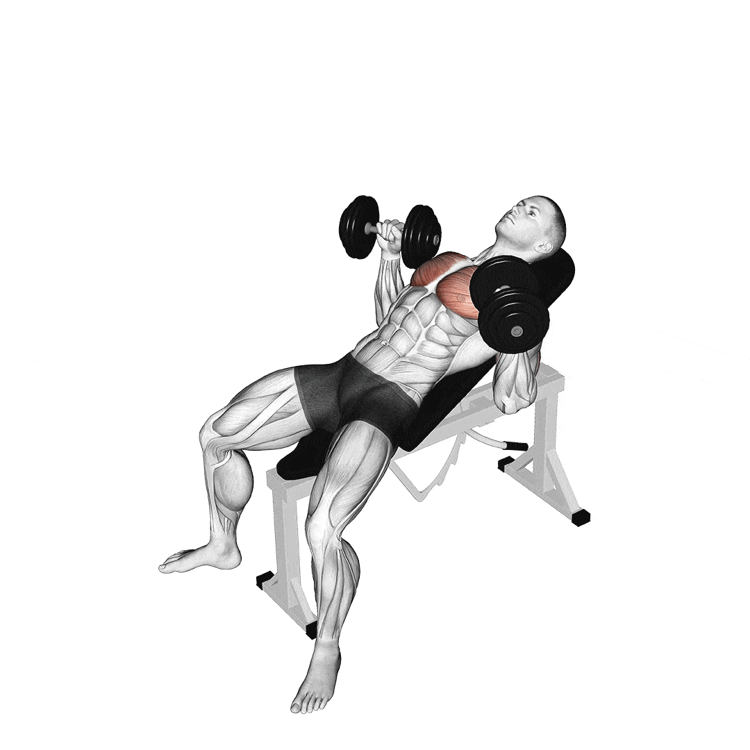 dumbbell-incline-chest-press