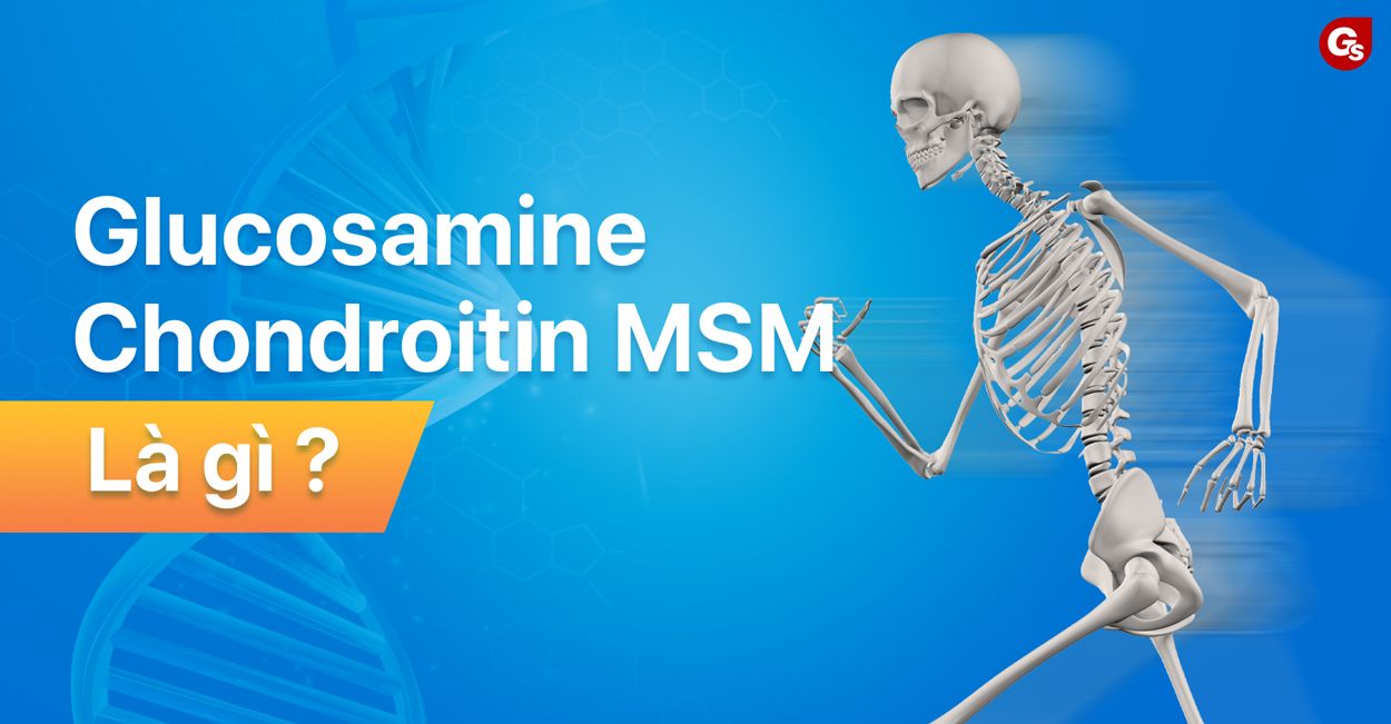 Lợi ích của MSM trong việc hỗ trợ xương khớp