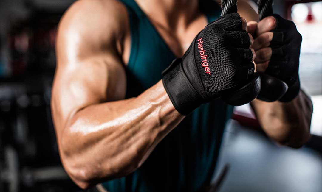 harbinger-pro-wristwrap-gloves-gymstore-1