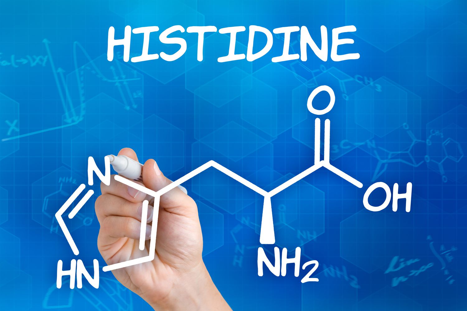 histidine-la-gi-gymstore