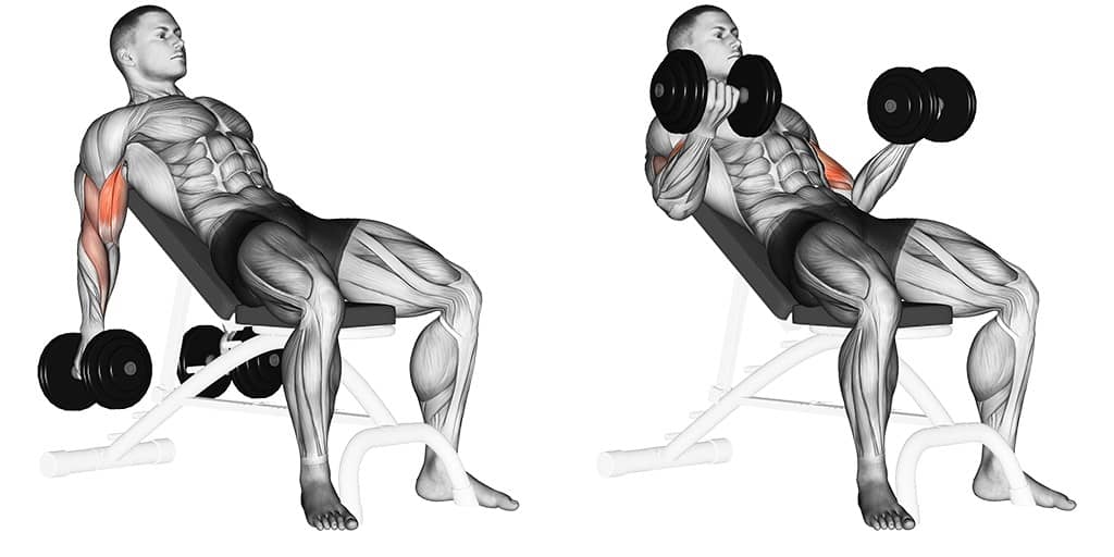 incline-dumbbell-curl