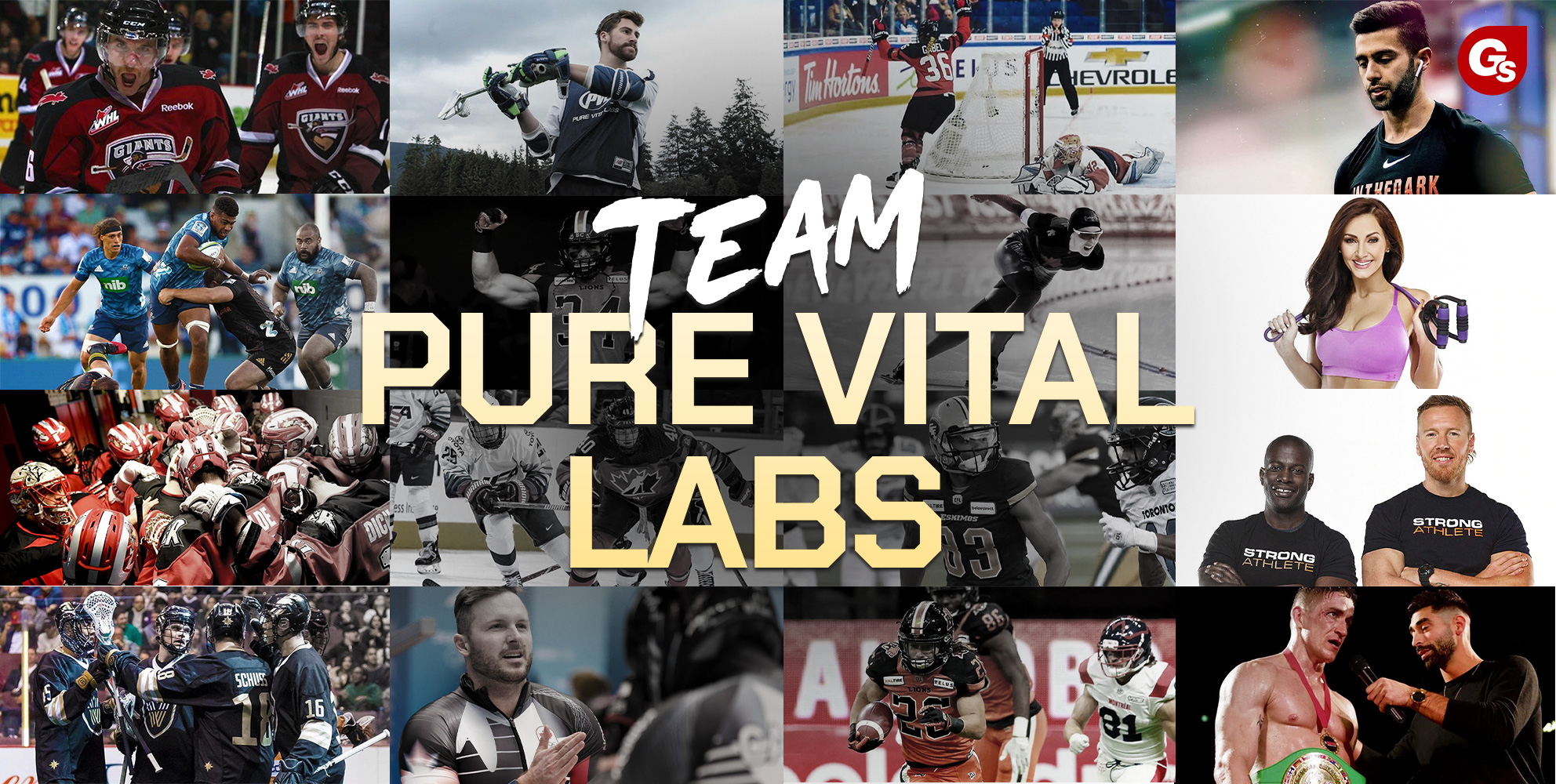 team-pvl-pure-vital-labs