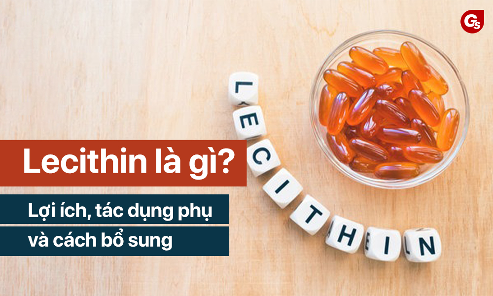 lecithin-la-gi