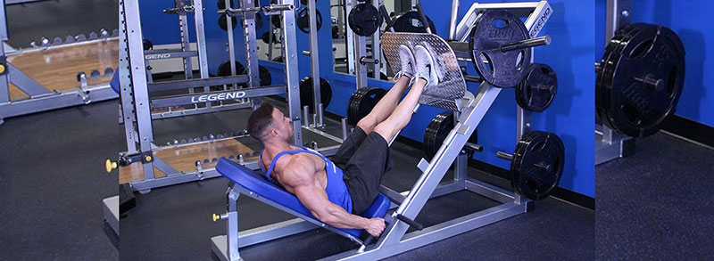 Leg Press giúp giảm calo, giảm cân và tiêu mỡ thừa hiệu quả