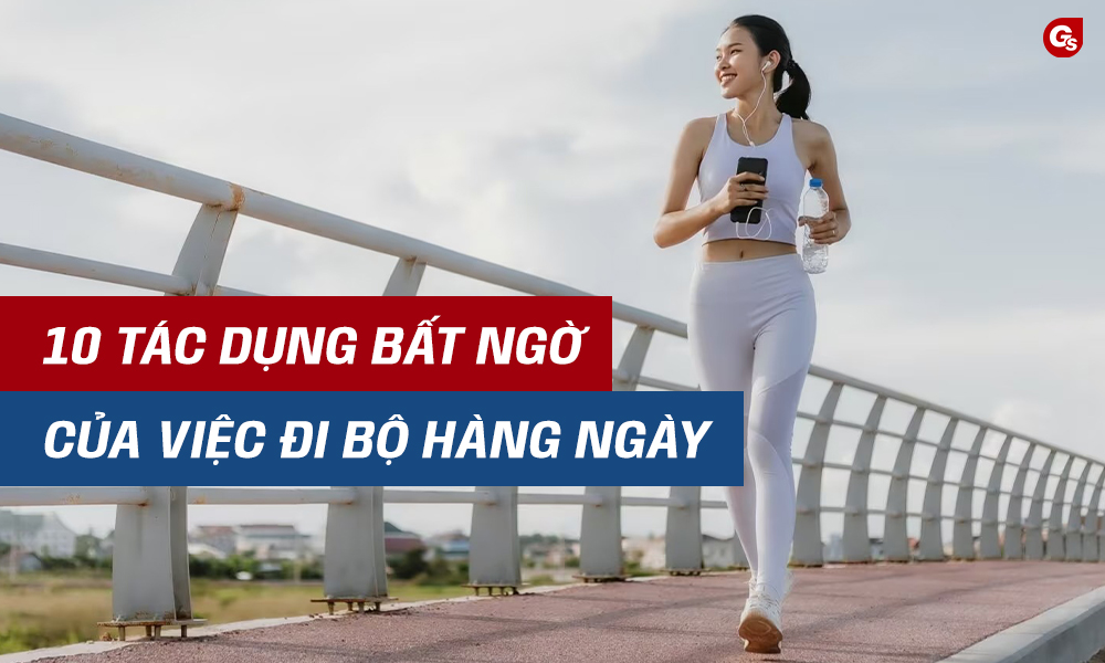 loi-ich-cua-di-bo