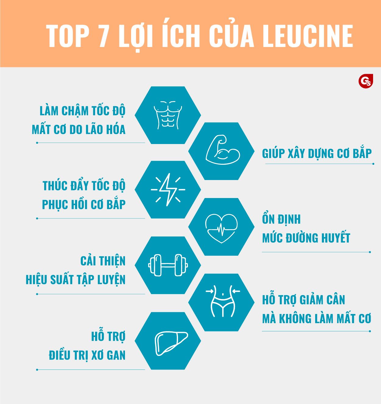 loi-ich-cua-leucine-gymstore