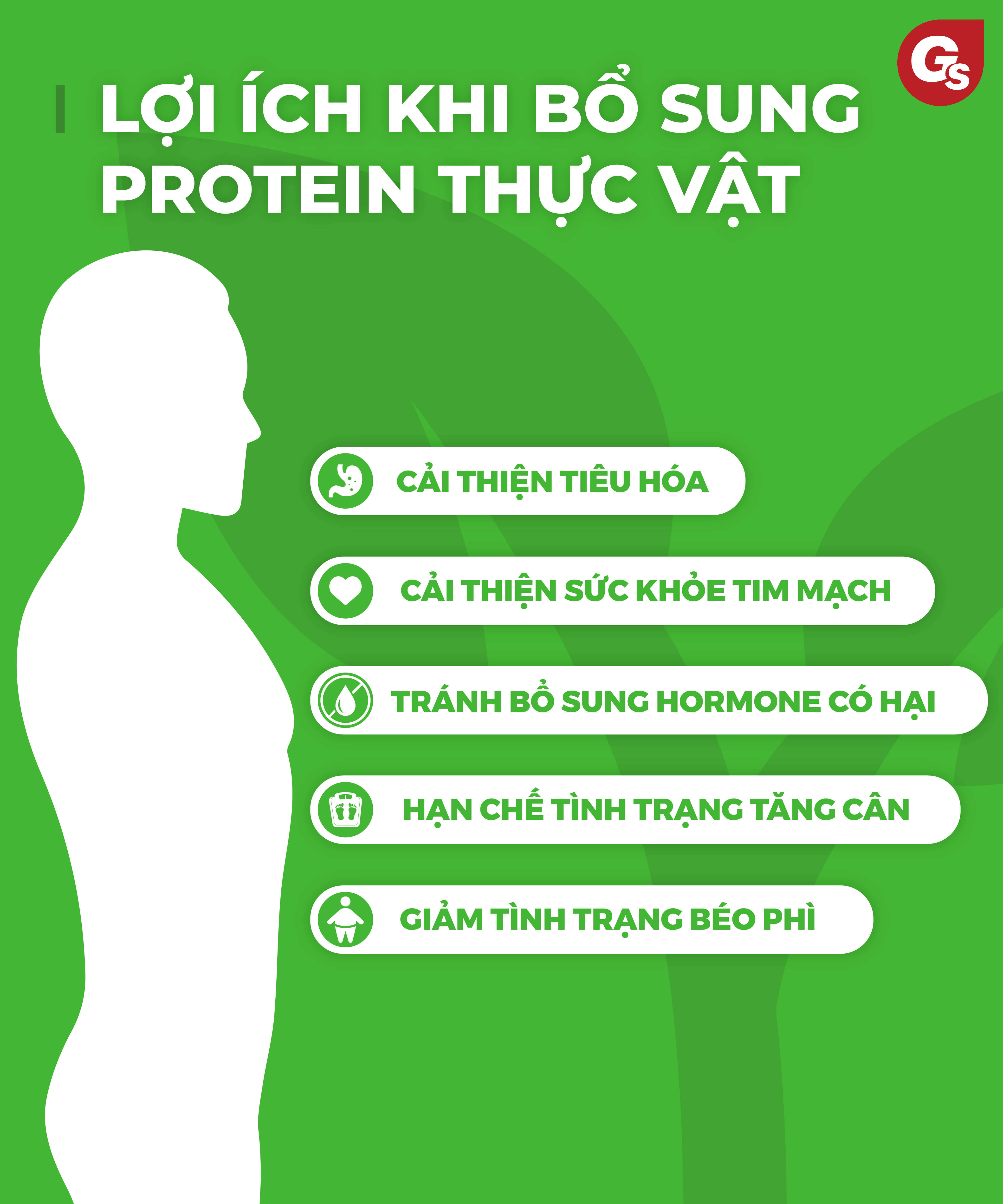 loi-ich-khi-bo-sung-protein-thuc-vat-gymstore