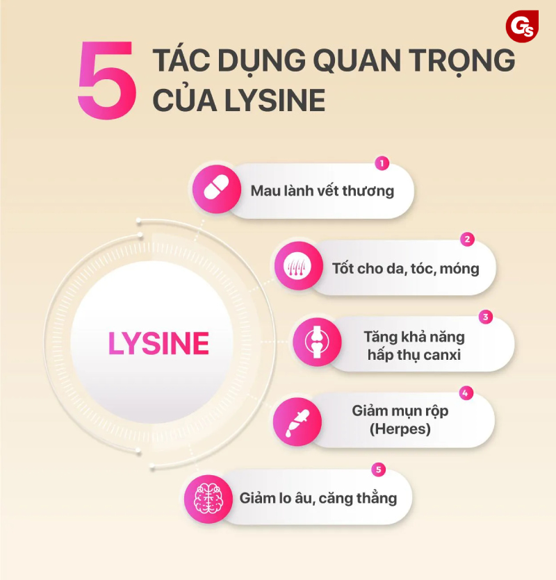 lysine-co-tac-dung-gi