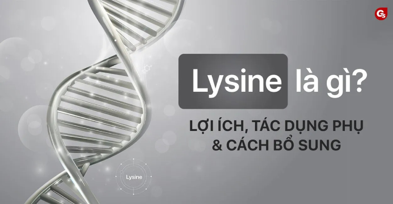 lysine-la-gi-0