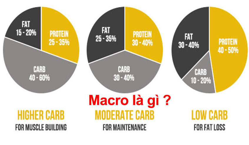 Chế độ macro là gì?