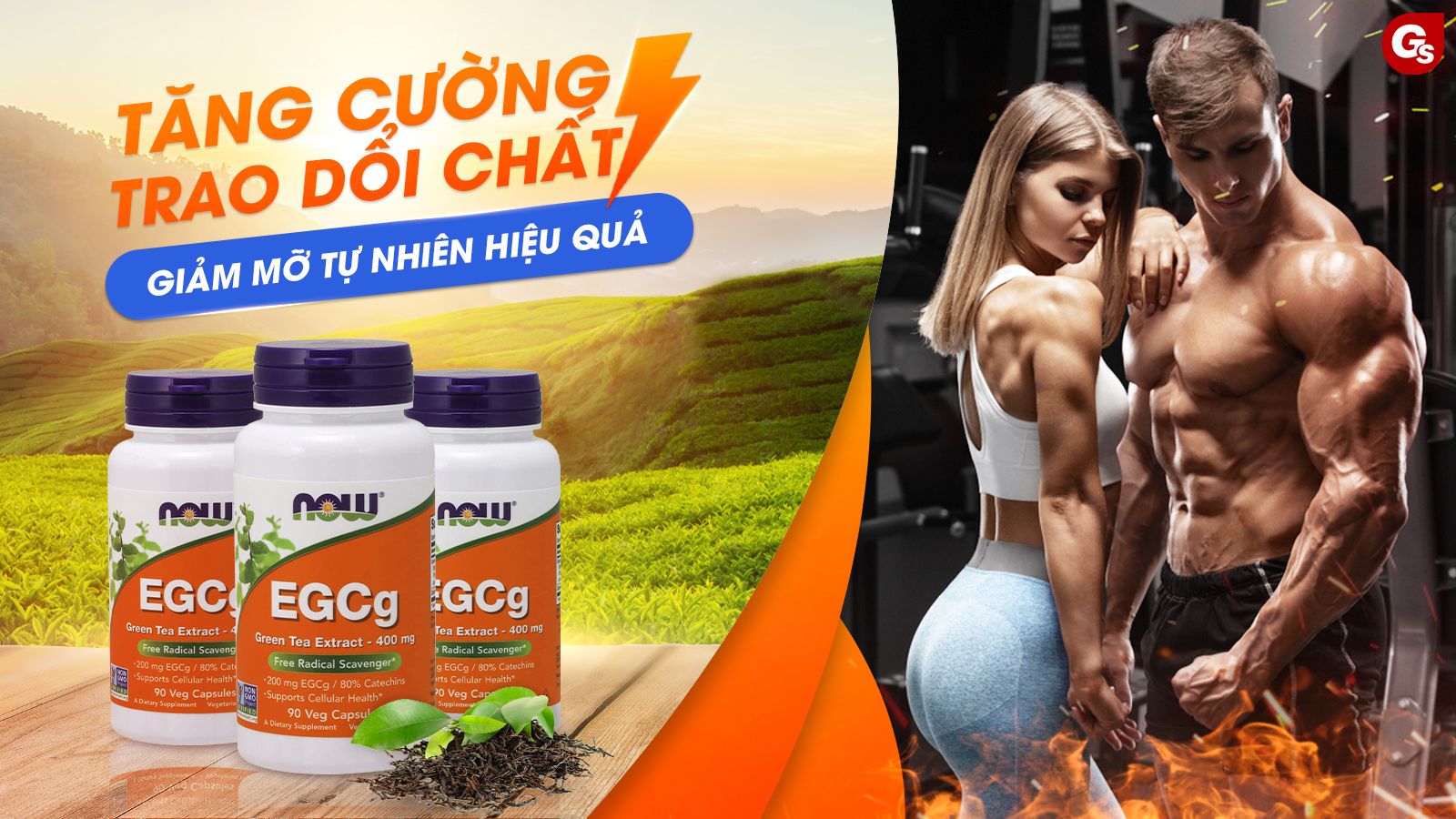 now-egcg-green-tea-extract-ho-tro-giam-mo-gymstore