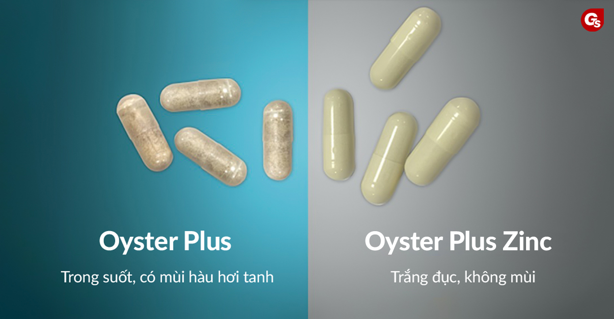 phan-biet-tinh-chat-hau-oyster-plus-va-oyster-plus-zinc-gymstore-2
