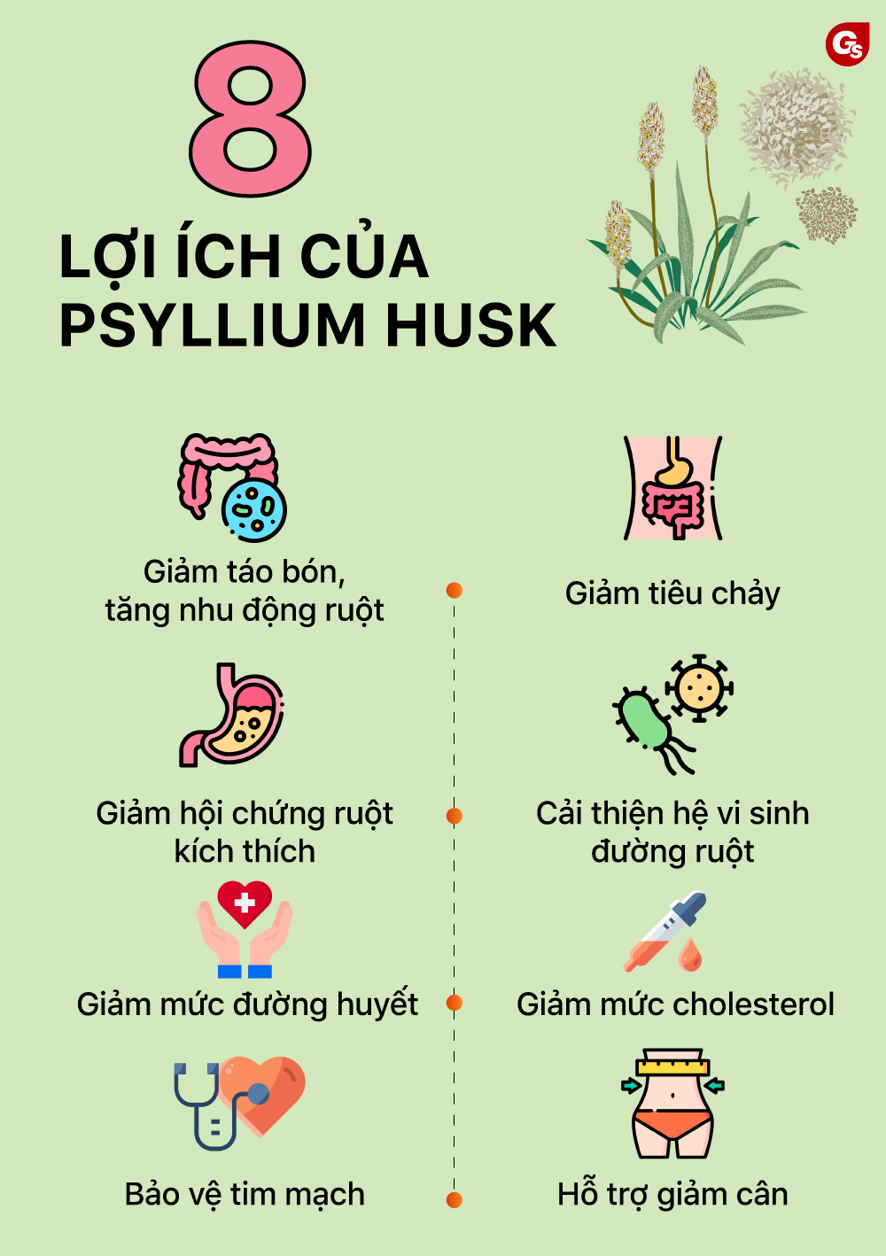 Psyllium-husk-co-tac-dung-gi