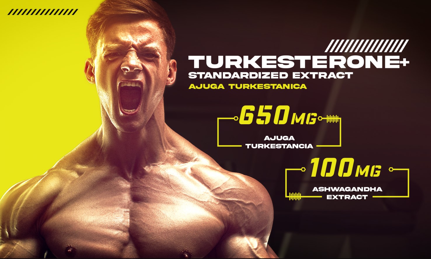 repp-sports-turkesterone-gymstore