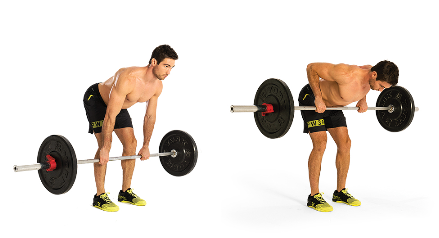Bài tập số 3: Reverse Grip Bent-Over Rows – Gập người kéo tạ đòn