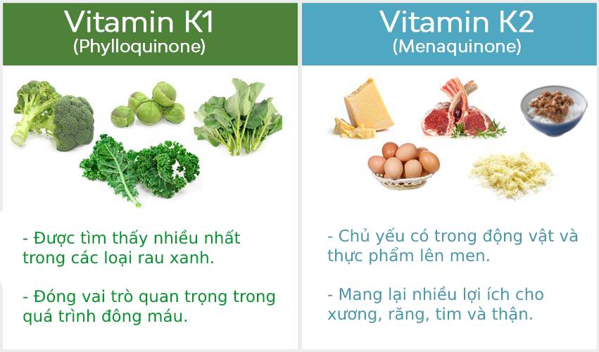 so-sanh-vitamin-k1-va-k2