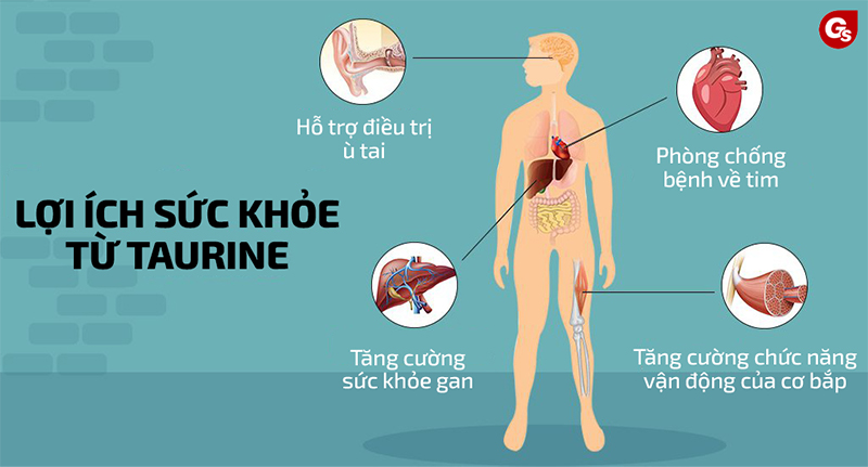 taurine-la-gi-2