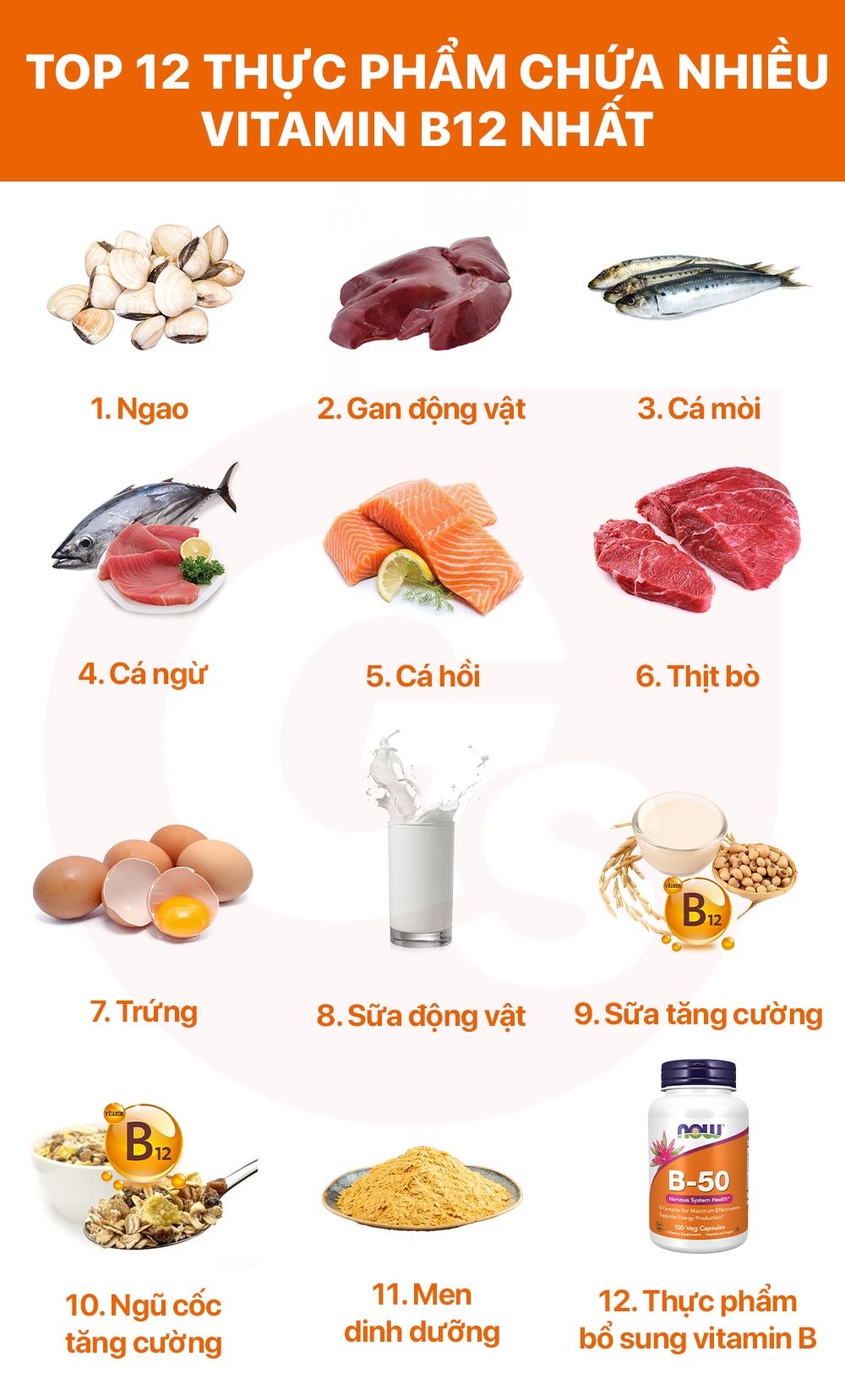 Lợi Ích Sức Khỏe Của Vitamin B12
