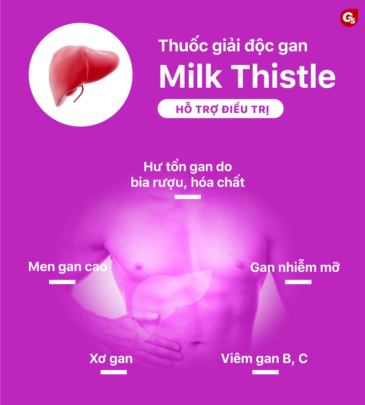 thuoc-giai-doc-gan-milk-thistle-co-tot-khong-gymstore