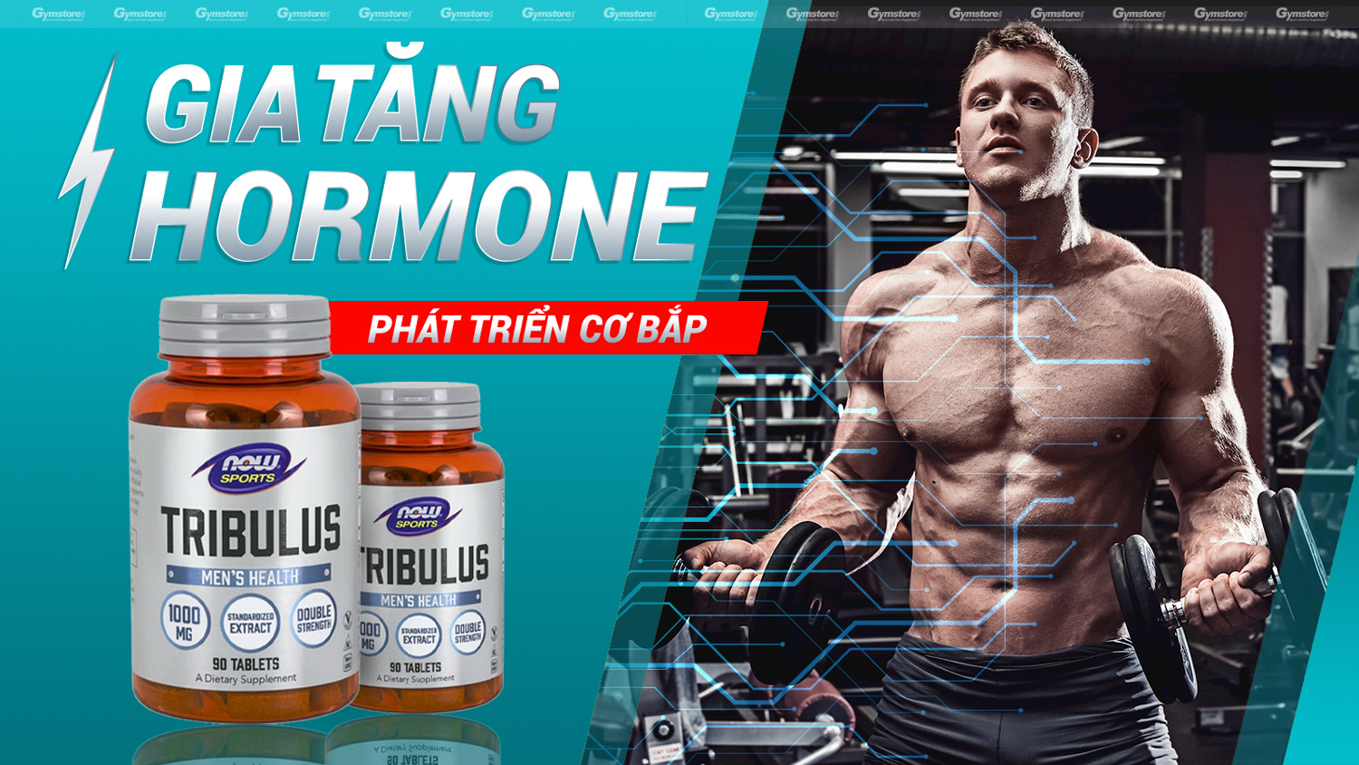 Now-Tribulus-tăng-cường-hormone-gymstore