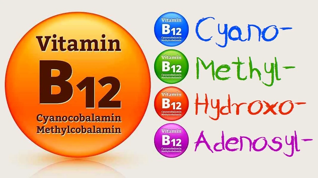 vitamin-b12-loai-nao-tot