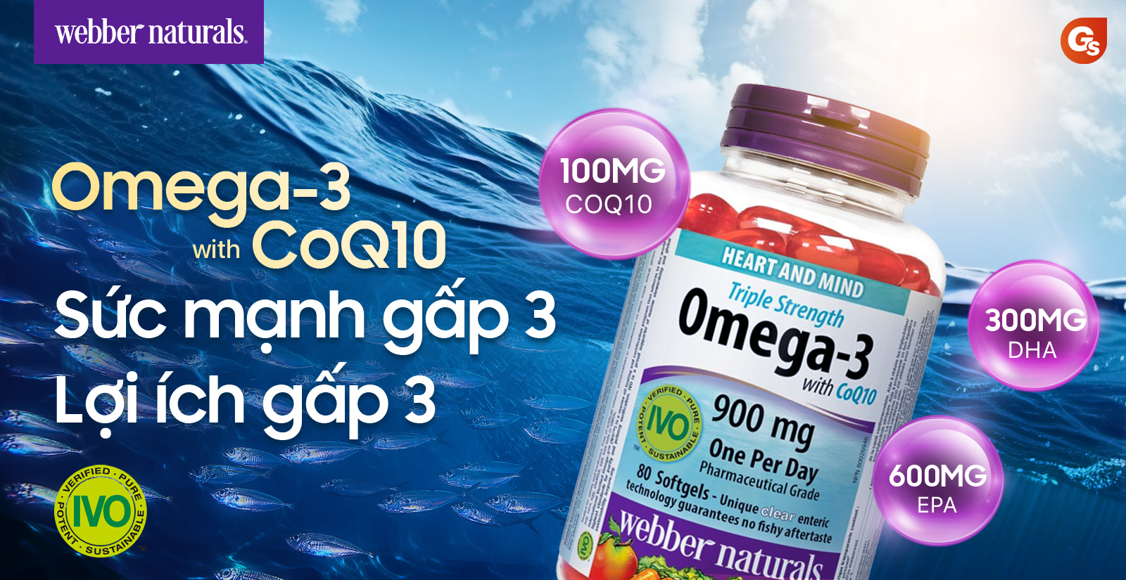 webber-omega3-coq10-gymstore