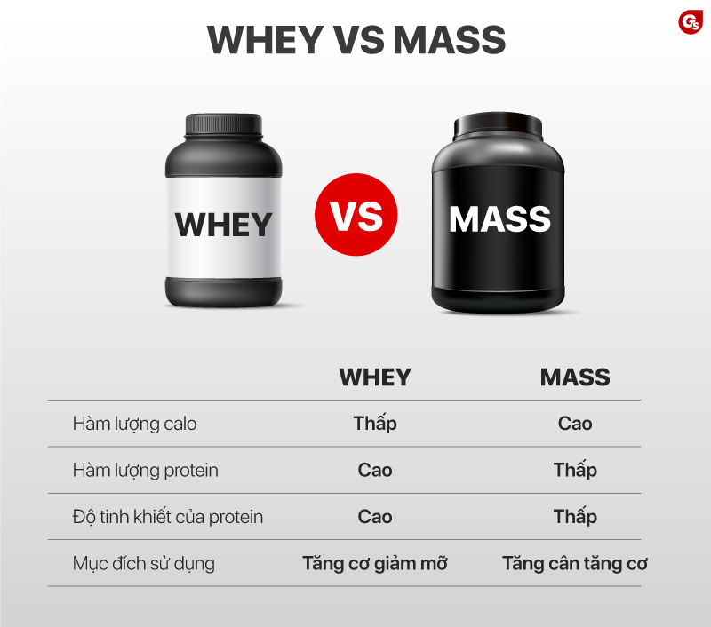 Mass Protein Là Gì? Bí Quyết Tăng Cân Và Phát Triển Cơ Bắp Hiệu Quả